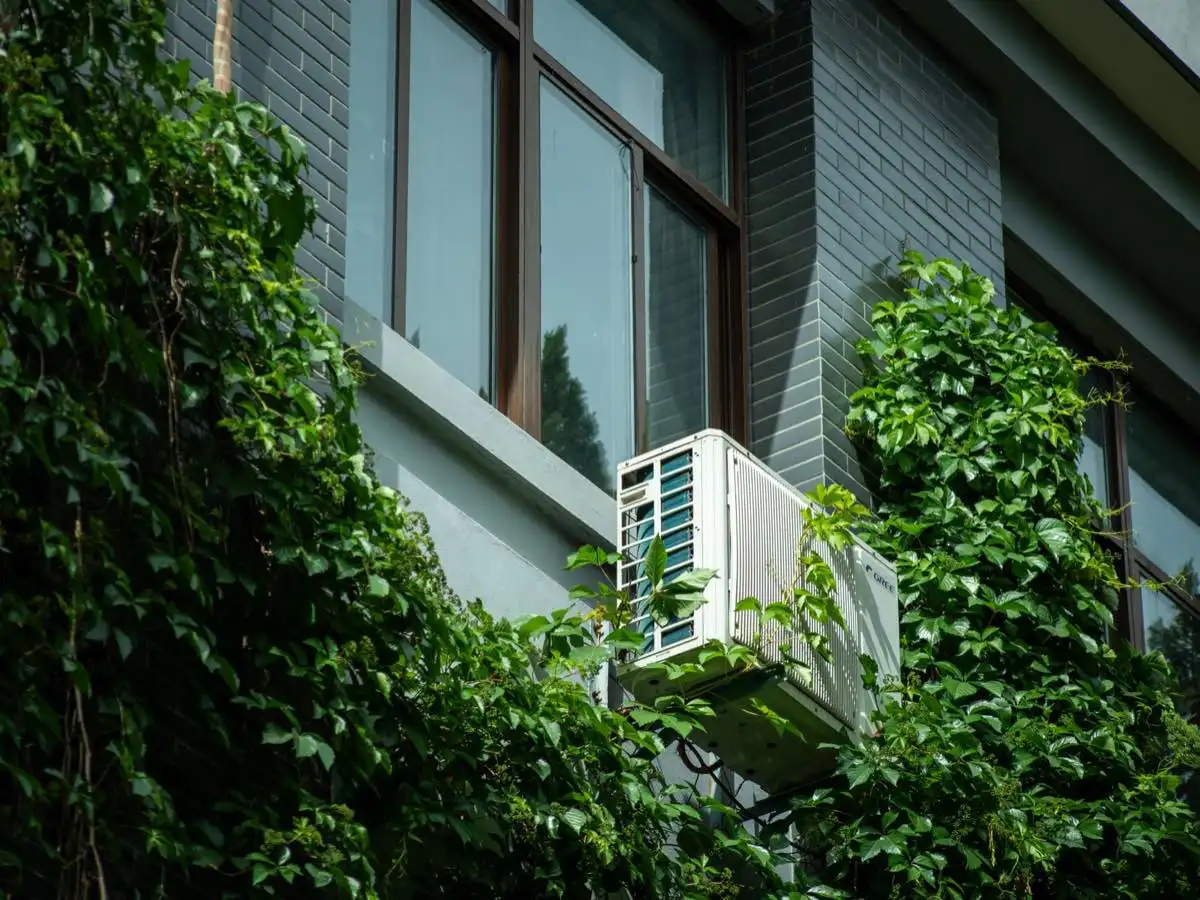 window in Franklin, TN